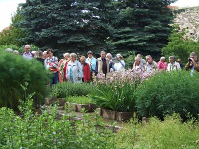 CDU-Reisegruppe im Krutergarten des Klosters Memleben in Sachsen-Anhalt